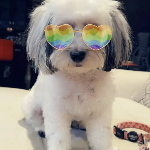 Lola