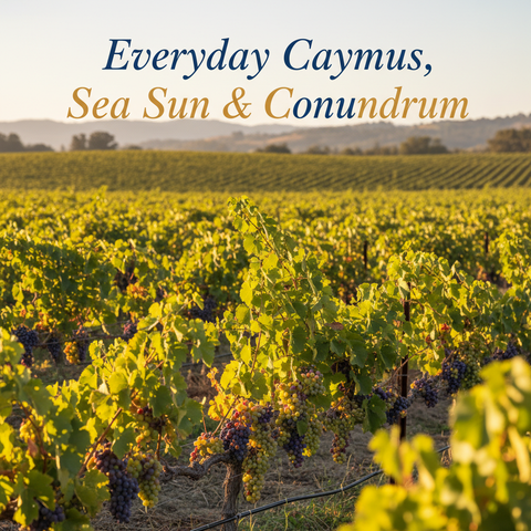 Everyday Caymus, Sea Sun & Conundrum