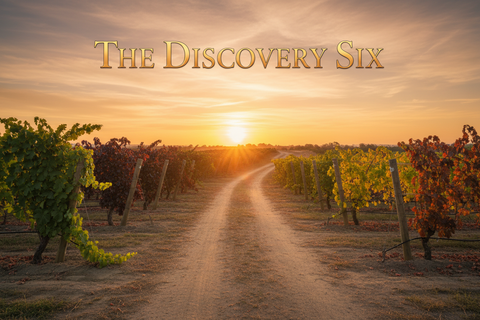 The Discovery Six