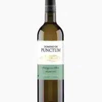 Dominio de Punctum Sauvignon Blanc