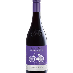 Cono Sur Bicicleta Reserva Pinot Noir 2021 750 mL