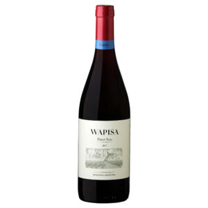 Wapisa Pinot Noir 2019 750 mL
