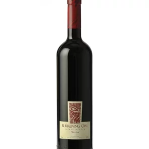 Burrowing Owl Merlot 2022 750 mL
